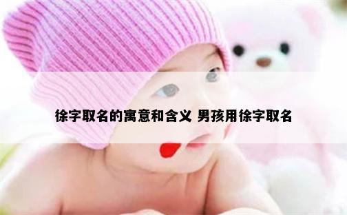 徐字取名的寓意和含义 男孩用徐字取名