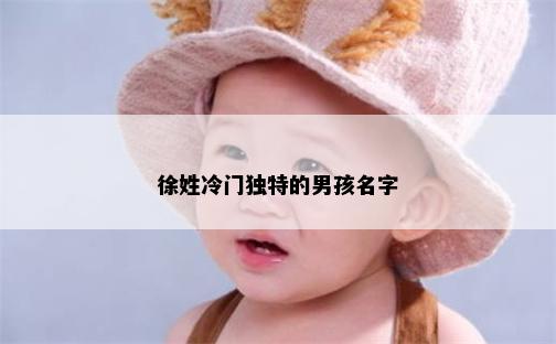 徐姓冷门独特的男孩名字