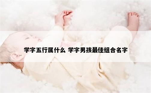 学字五行属什么 学字男孩最佳组合名字