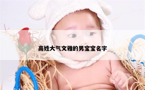 高姓大气文雅的男宝宝名字