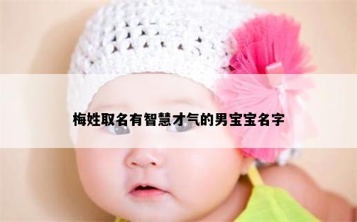 梅姓取名有智慧才气的男宝宝名字