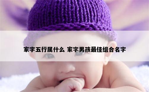 家字五行属什么 家字男孩最佳组合名字