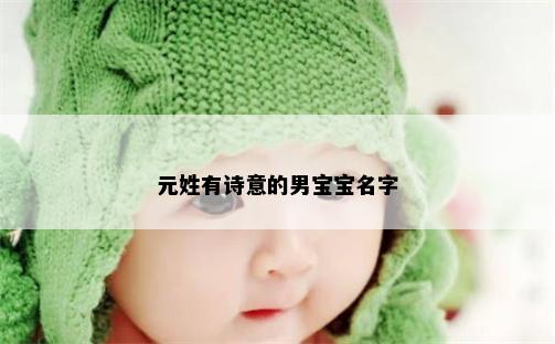 元姓有诗意的男宝宝名字