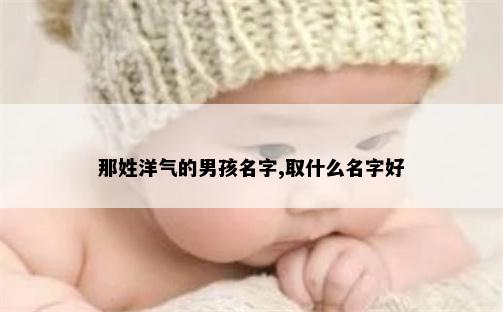 那姓洋气的男孩名字,取什么名字好