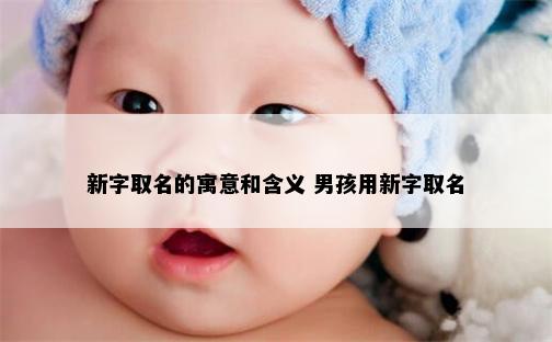 新字取名的寓意和含义 男孩用新字取名