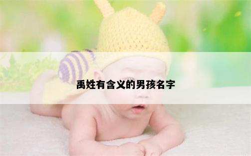 禹姓有含义的男孩名字