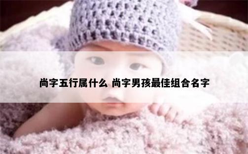 尚字五行属什么 尚字男孩最佳组合名字