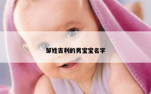 邹姓吉利的男宝宝名字
