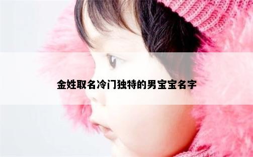 金姓取名冷门独特的男宝宝名字