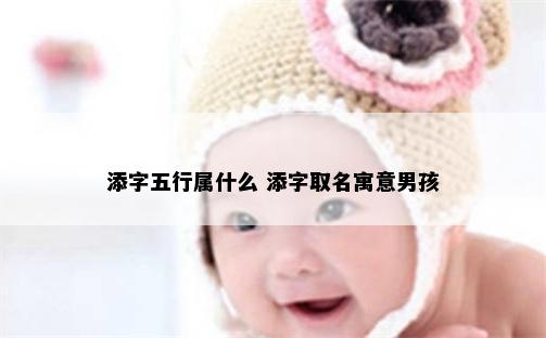 添字五行属什么 添字取名寓意男孩
