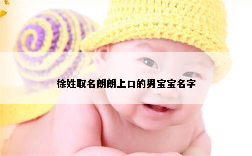 徐姓取名朗朗上口的男宝宝名字