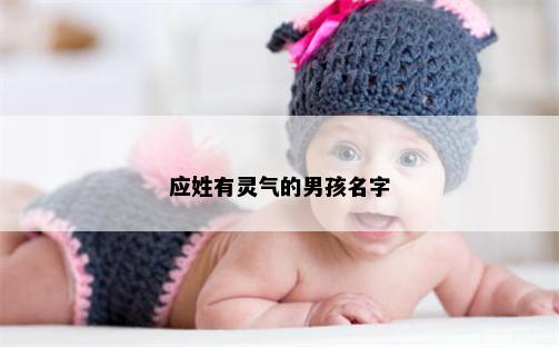 应姓有灵气的男孩名字