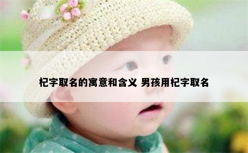 杞字取名的寓意和含义 男孩用杞字取名