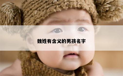 魏姓有含义的男孩名字