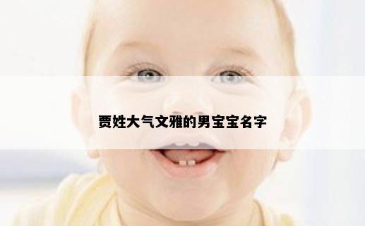 贾姓大气文雅的男宝宝名字