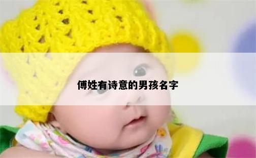 傅姓有诗意的男孩名字