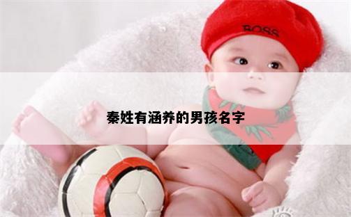 秦姓有涵养的男孩名字