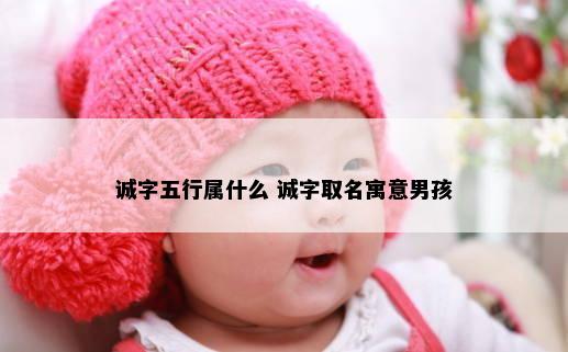 诚字五行属什么 诚字取名寓意男孩