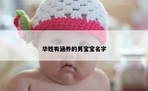 华姓有涵养的男宝宝名字