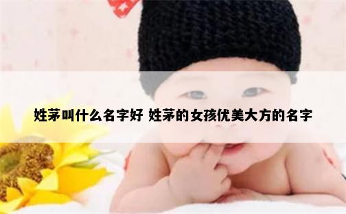 姓茅叫什么名字好 姓茅的女孩优美大方的名字