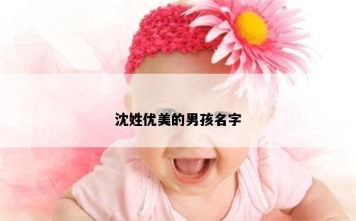 沈姓优美的男孩名字