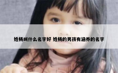 姓杨叫什么名字好 姓杨的男孩有涵养的名字