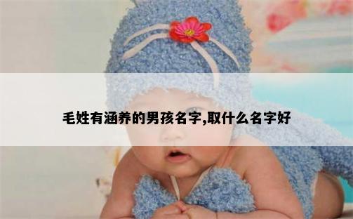 毛姓有涵养的男孩名字,取什么名字好