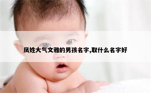 凤姓大气文雅的男孩名字,取什么名字好