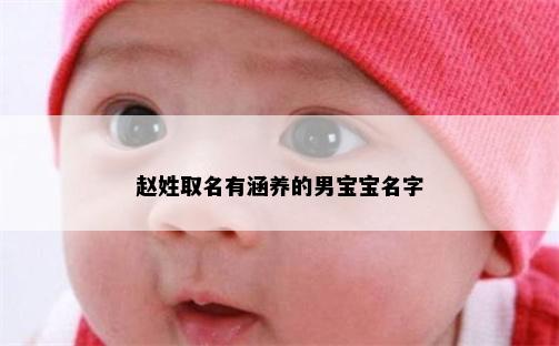 赵姓取名有涵养的男宝宝名字