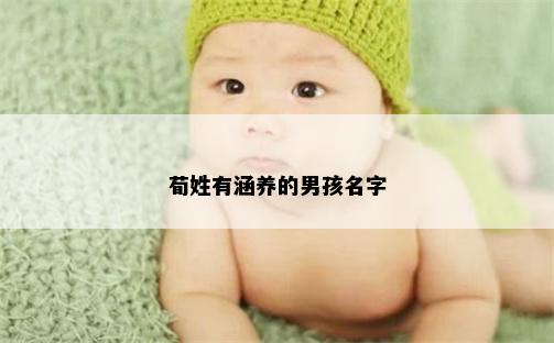 荀姓有涵养的男孩名字