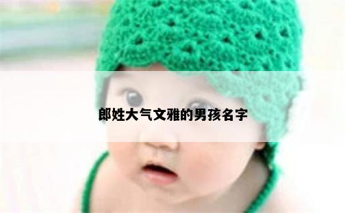 郎姓大气文雅的男孩名字