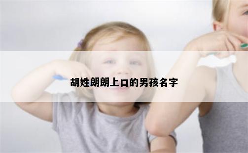 胡姓朗朗上口的男孩名字