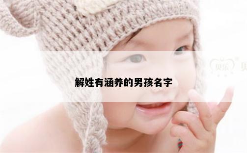 解姓有涵养的男孩名字