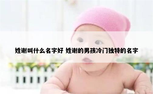 姓谢叫什么名字好 姓谢的男孩冷门独特的名字