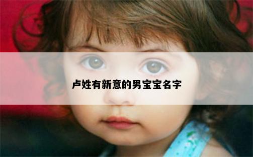 卢姓有新意的男宝宝名字