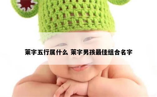 莱字五行属什么 莱字男孩最佳组合名字