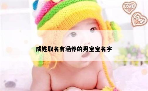 成姓取名有涵养的男宝宝名字