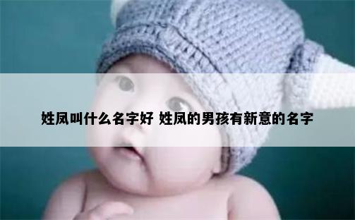 姓凤叫什么名字好 姓凤的男孩有新意的名字
