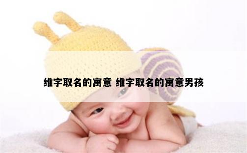 维字取名的寓意 维字取名的寓意男孩