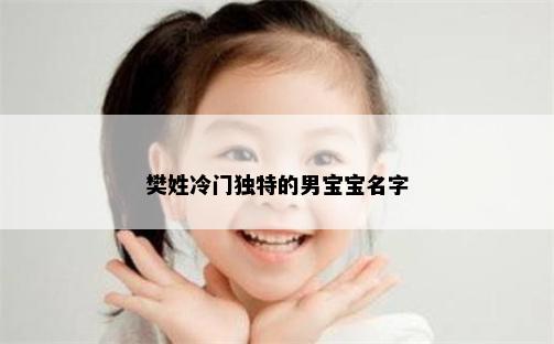 樊姓冷门独特的男宝宝名字