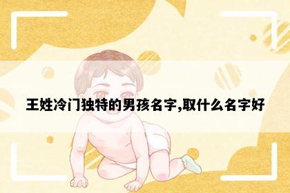 王姓冷门独特的男孩名字,取什么名字好