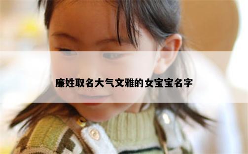 廉姓取名大气文雅的女宝宝名字
