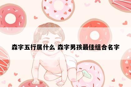 森字五行属什么 森字男孩最佳组合名字