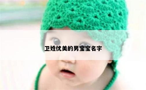 卫姓优美的男宝宝名字