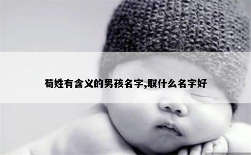 荀姓有含义的男孩名字,取什么名字好