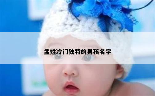 孟姓冷门独特的男孩名字