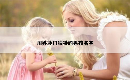 周姓冷门独特的男孩名字