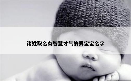 诸姓取名有智慧才气的男宝宝名字