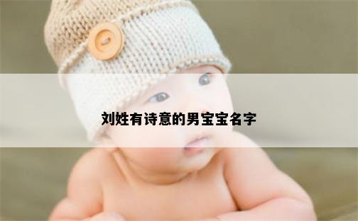 刘姓有诗意的男宝宝名字