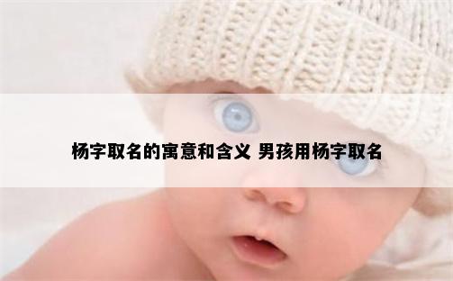 杨字取名的寓意和含义 男孩用杨字取名